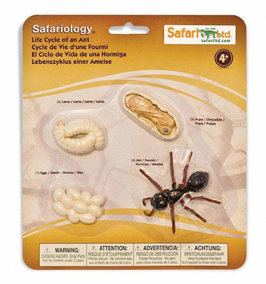 speelfiguren Levenscyclus van een mier beige/zwart 4-delig