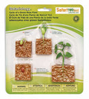 speelset Levenscyclus bonenplant junior 4-delig