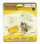 speelset Levenscyclus honingbij junior 4-delig