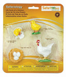 speelset Levenscyclus kip junior 4-delig