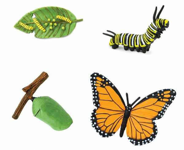 speelset Levenscyclus monarchvlinder junior 4-delig