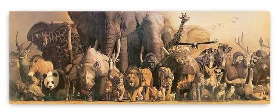 poster Wilde Dieren Panorama 100 x 32 cm papier