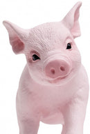 speeldier biggetje 12 cm roze