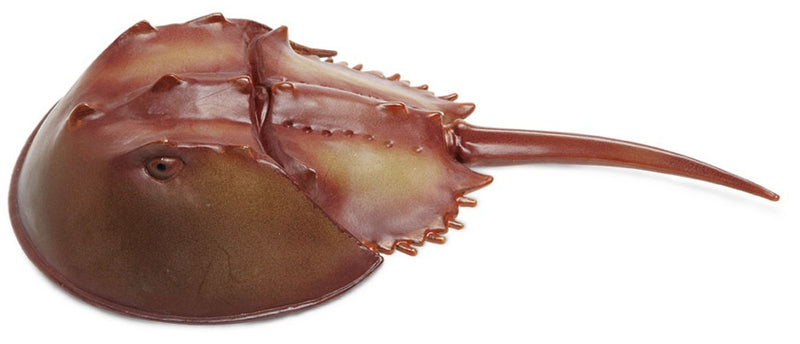 speeldier degenkrab 17 cm bruin