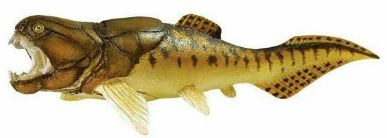 speeldier dinosaurus dunkleoteus junior 18,5 bruin/goud