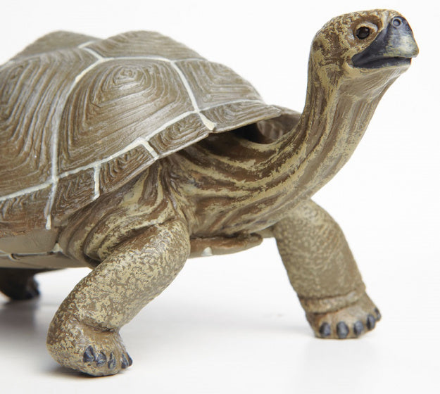 speeldier Galapagos schildpad 22,5 cm bruin