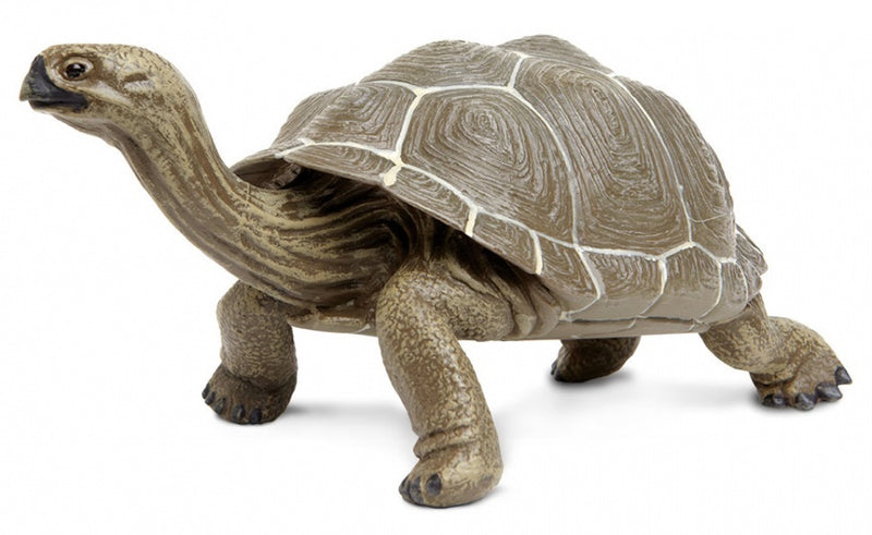 speeldier Galapagos schildpad 22,5 cm bruin