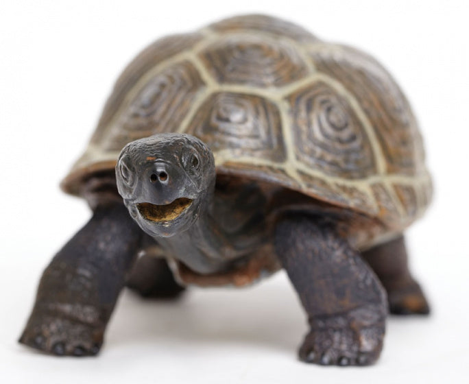 speeldier Galapagos baby-schildpad 14 cm bruin