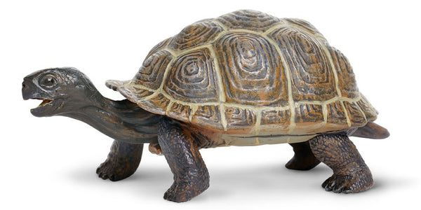 speeldier Galapagos baby-schildpad 14 cm bruin