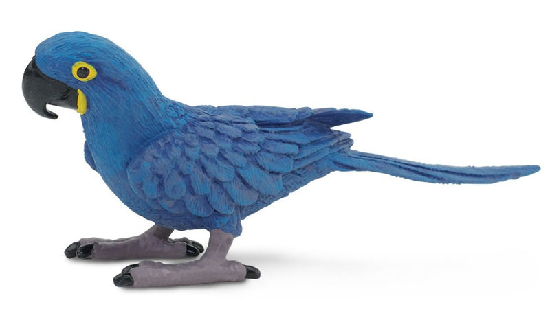 speeldier hyacinthara 11,5 cm blauw/geel/zwart