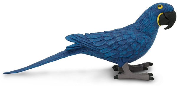 speeldier hyacinthara 11,5 cm blauw/geel/zwart