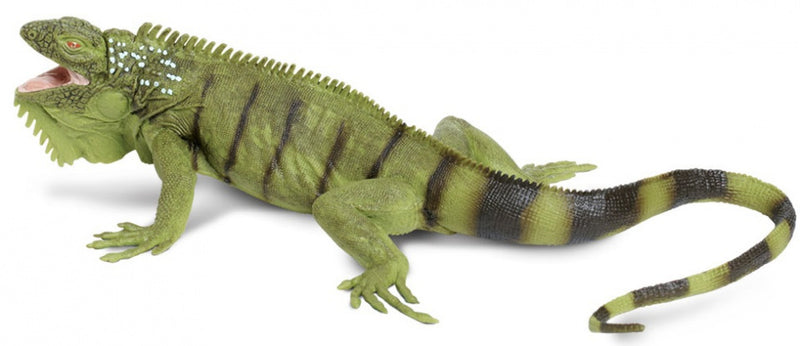 speeldier leguaan 28 cm groen