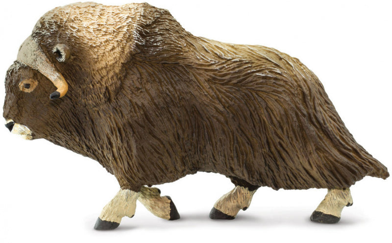 speeldier muskusos junior 11,8 cm bruin