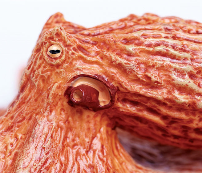 speeldier reuzekraken inktvis 20 cm oranje