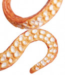 speeldier reuzekraken inktvis 20 cm oranje