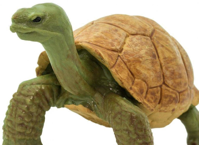 speeldier schildpad junior 7,5 x 5,5 cm groen/bruin