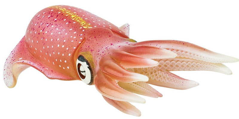 speeldier sepioteuthis sepioidea inktvis 21 cm roze