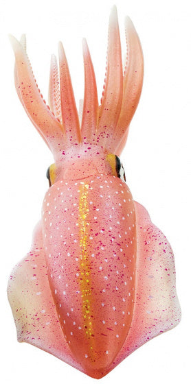 speeldier sepioteuthis sepioidea inktvis 21 cm roze