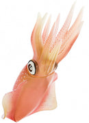 speeldier sepioteuthis sepioidea inktvis 21 cm roze