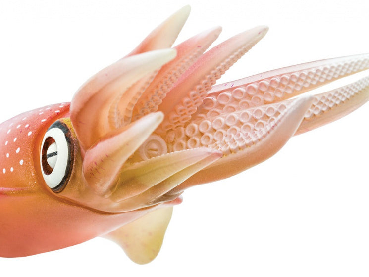 speeldier sepioteuthis sepioidea inktvis 21 cm roze