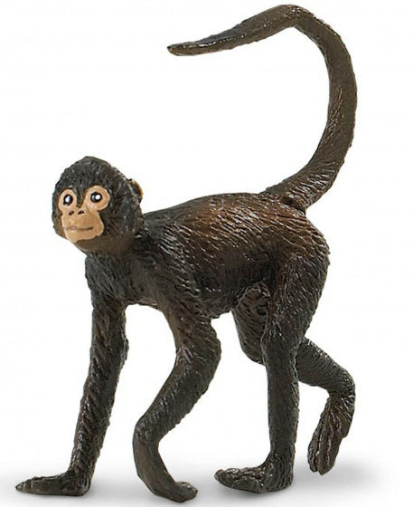 speeldier slingeraap junior 7,5 x 7,5 cm donkerbruin