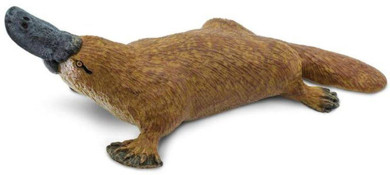 speeldier vogelbekdier junior 12 x 3,75 cm bruin