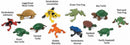 speelfiguren Frogs & Turtles junior 12-delig