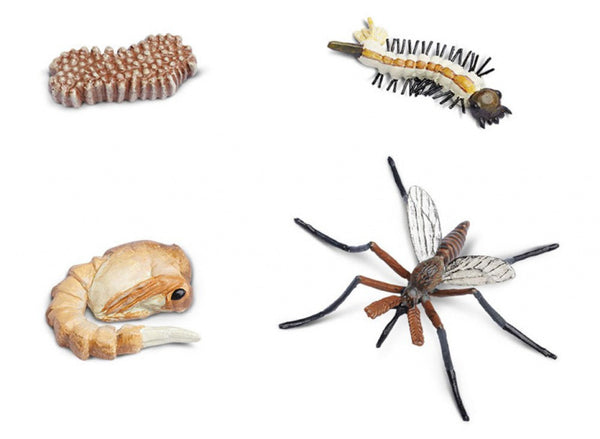 speelset Levenscyclus mug junior bruin/wit 4-delig