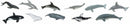 speelfigurenset Whales & Dolphins junior 11-delig