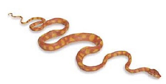 speeldier tuin boa 142 cm rood/groen/geel