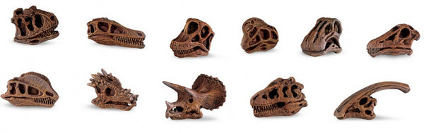 speelset dinoschedels junior 4-7,5 cm 48 stuks