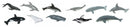 speelset grote zeedieren junior 4-7,5 cm 48 stuks