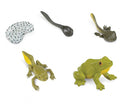 speelset levenscyclus kikker junior 4,5 cm groen 5-delig