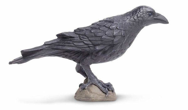 vogel Raaf junior 7,5 cm zwart