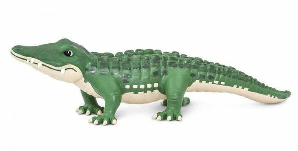 wilde dieren Bernie de alligator