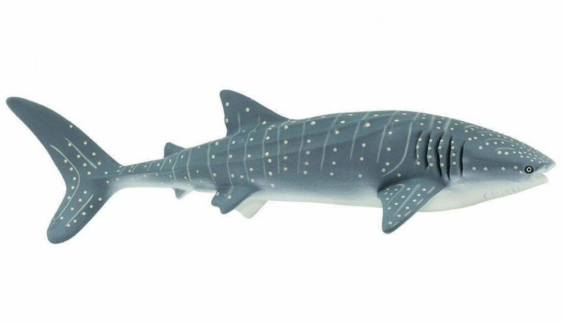 zeedieren Walvishaai junior 23,5 cm grijs