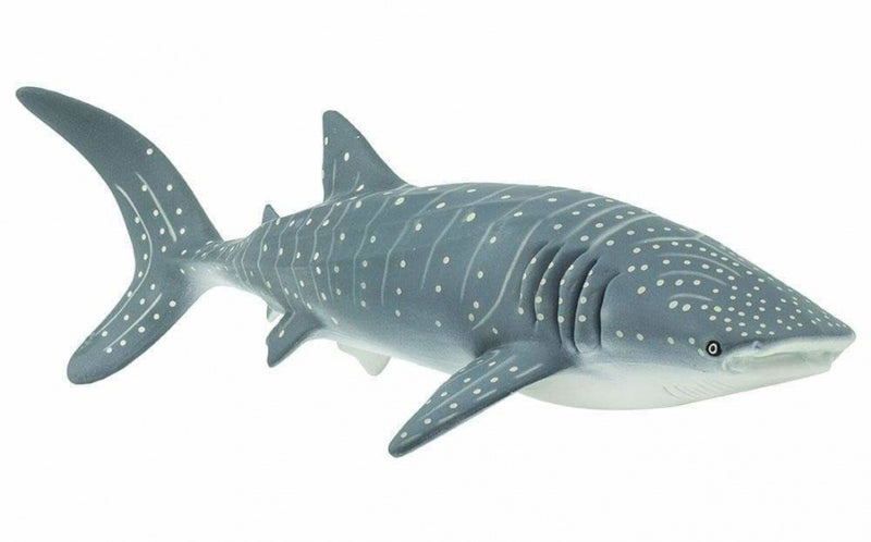 zeedieren Walvishaai junior 23,5 cm grijs