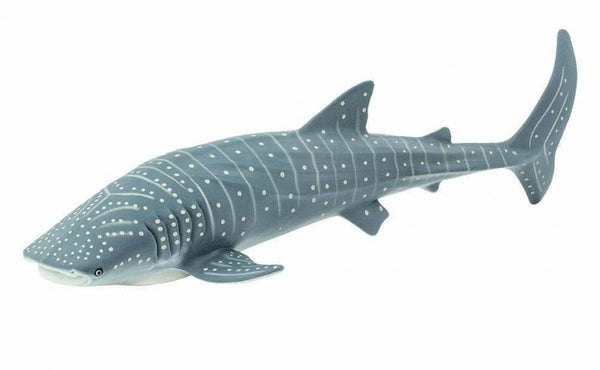 zeedieren Walvishaai junior 23,5 cm grijs