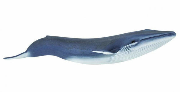 zeedieren Blauwe vinvis junior 26,8 cm blauw/wit