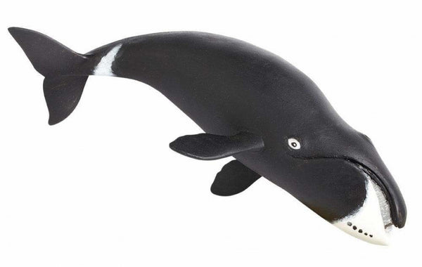 zeedieren Groenlandse walvis junior 21 cm zwart/wit