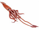 zeedieren Kolossale inktvis junior 45,5 cm rood