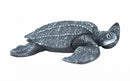 zeedieren Lederschildpad junior 13,5 cm grijs/wit