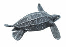 zeedieren Lederschildpad junior 13,5 cm grijs/wit