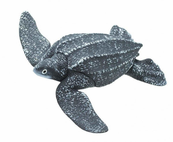zeedieren Lederschildpad junior 13,5 cm grijs/wit
