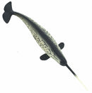 zeedieren Narwal junior 27,5 cm zwart/wit