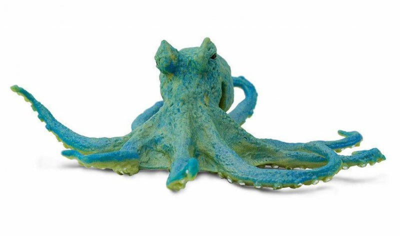 zeedieren Octopus junior 12,75 cm groen