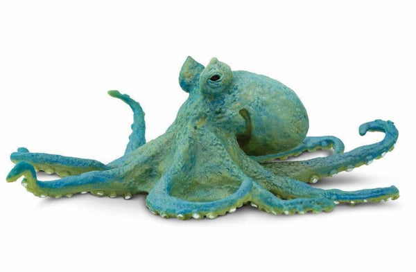 zeedieren Octopus junior 12,75 cm groen