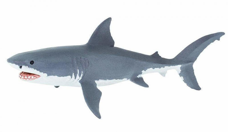 zeedieren Witte haai junior 16 cm grijs/wit