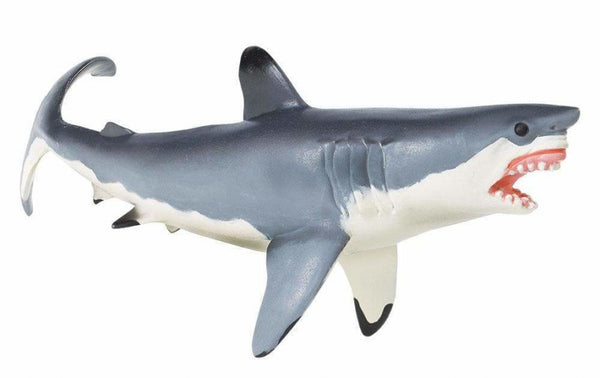 zeedieren Witte haai junior 22 cm grijs/wit