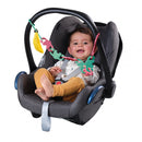 Monkey links SES (13111)